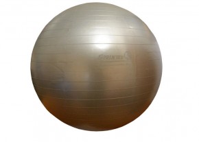    Sprinter GIM BALL  55