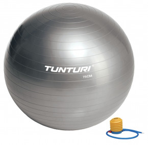    Tunturi Gymball 75 cm Grey (14TUSFU279)