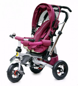  Baby trike -30 Purple