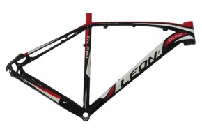  Leon TN Pro 29  (2014) -