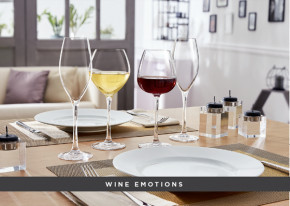      Eclat Wine Emotions 6X350 (L7588) 3