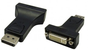  Roline DisplayPort M DVI F 3