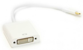  PowerPlant USB Type C - DVI, 0.15   (DV00DV4063)