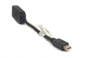  PowerPlant mini DisplayPort (Thunderbolt) M - DisplayPort F 0.2   (CA910472) (206025) 3