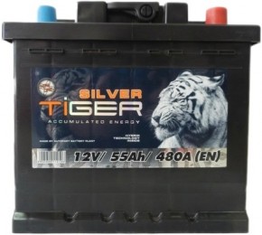   Tiger Silver 55 h-12V L