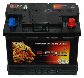   G-Pard Fast 78h-12V Euro R