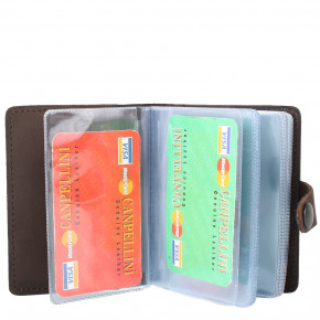    DNK Leather DNK-Cards-Kcol.F 6