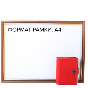 ³   DNK Leather DNK-Cards-Kcol.H 7