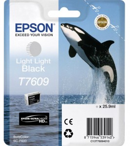  Epson SureColor SC-P600 light grey