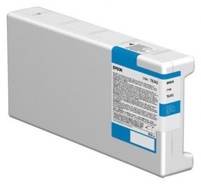   Epson Singlepack Cleaning SC-S30610 (C13T699000)