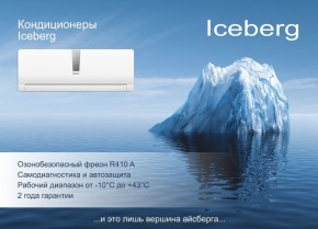  Iceberg KGR-12AH 5