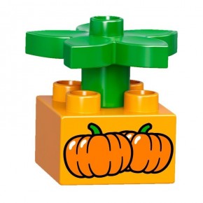  Lego Duplo   (10810) 6