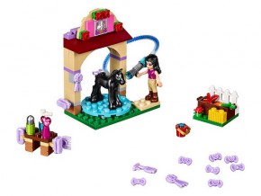  Lego Friends     (41123) 5