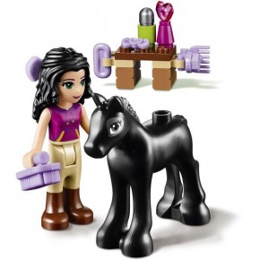  Lego Friends     (41123) 7