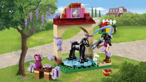  Lego Friends     (41123) 10