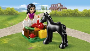  Lego Friends     (41123) 11