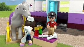  Lego Friends     (41125) 16