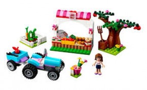  Lego Friends (66478) 4