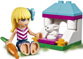  Lego Friends   (41314) 6