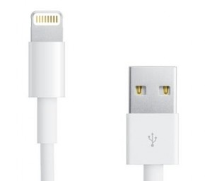   PowerPlant USB - Lightning (iPhone 5), 1   (DV00DV4042) 4