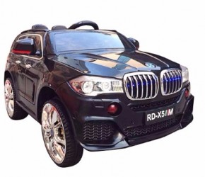   Bambi BMW X5 (M 2762MP4EBLR-2)