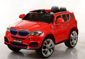   Bambi BMW X5 M 2762(MP4)EBR-3