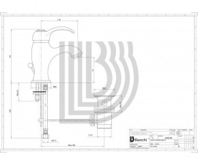    Bianchi Class LVBCLS 2002IA ORO 3