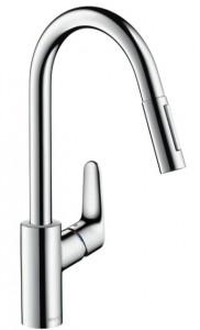  Hansgrohe Focus 31815000