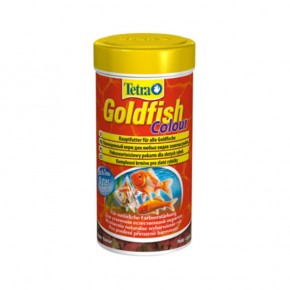     Tetra Gold Fish Colour 12