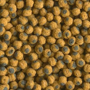     Tetra Pond Koi Colour Pellets 1L 3