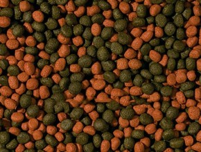    Tropical Cichlid Omnivore Medium Pellet1L /360g 3