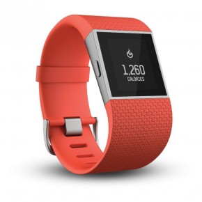 - Fitbit Surge Small for Android/iOS Red (FB501TAS)