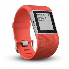 - Fitbit Surge Small for Android/iOS Red (FB501TAS) 5