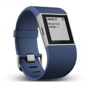 - Fitbit Surge Blue Large (FBSUBUL) 4