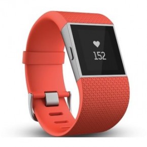 - Fitbit Surge Tangerine Large (FBSUTAL)