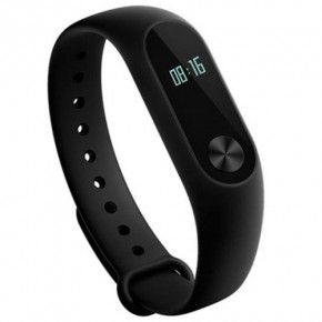 - Xiaomi Mi Band 2 Black (XMSH04HM)