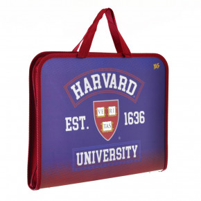 -   Yes Harvard (491435)