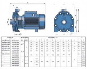    + 2CPm 60/aisi316 6