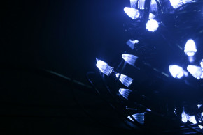   200LED 12  5