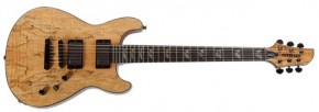  Fernandes Dragonfly Spalted N (DFS-N) 3