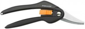  Fiskars  (111270)