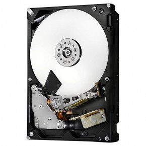   Hitachi (HGST) Deskstar NAS 10 TB (H3IKNAS1000025672SWW/0S04037)