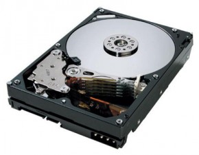   Hitachi (HGST) Deskstar T7K500 500GB (HDT725050VLA380) 3