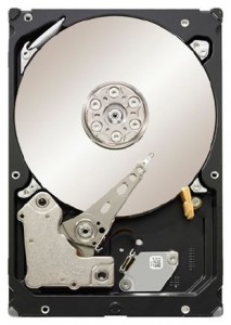   Seagate Constellation 500GB (ST3500514NS)