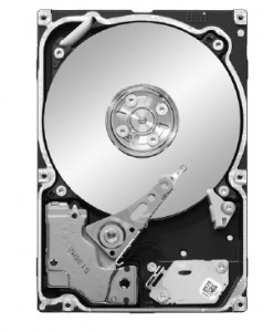   Seagate 250GB (ST9250610NS)