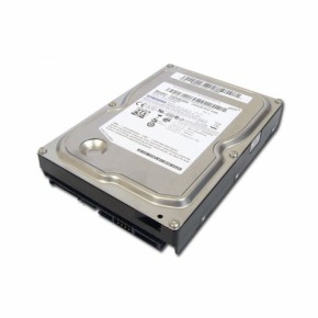   Samsung EcoGreen F3 500GB (ST500DL001)