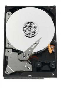   Western Digital 3.5 500Gb (WD5000AVVS)