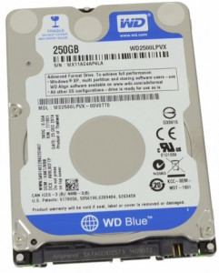   Western Digital 250GB Blue (WD2500LPVX)