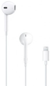    Apple iPod EarPods with Mic Lightning (MMTN2ZM/A)