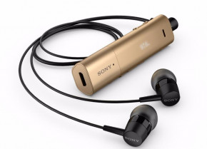  Sony SBH54 Gold 4